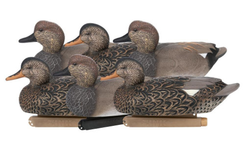 GADWALL FLOATER DECOYS
