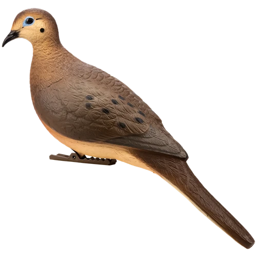 Full Body Doves