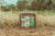 NFUZE SALT LICK BLOCK APPLE