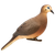 Full Body Doves