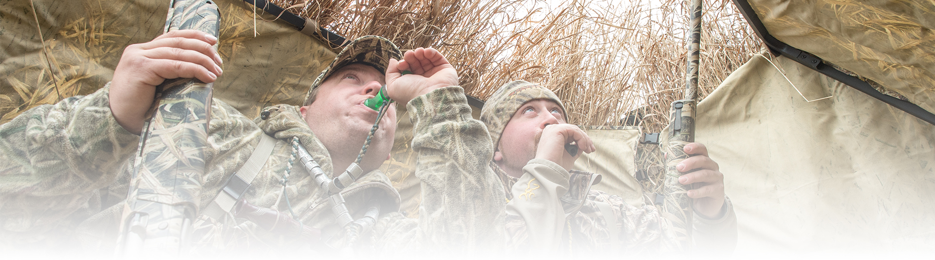 Hunters calling ducks from blind