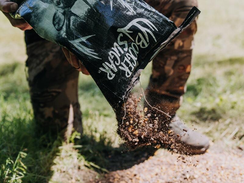 attractants-page-main-image-min.jpg attractants-page-main-image-min.jpg