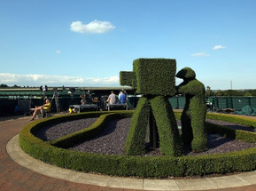 Wimbledon 2023 in 4K UHD Wimbledon 2023 in 4K UHD