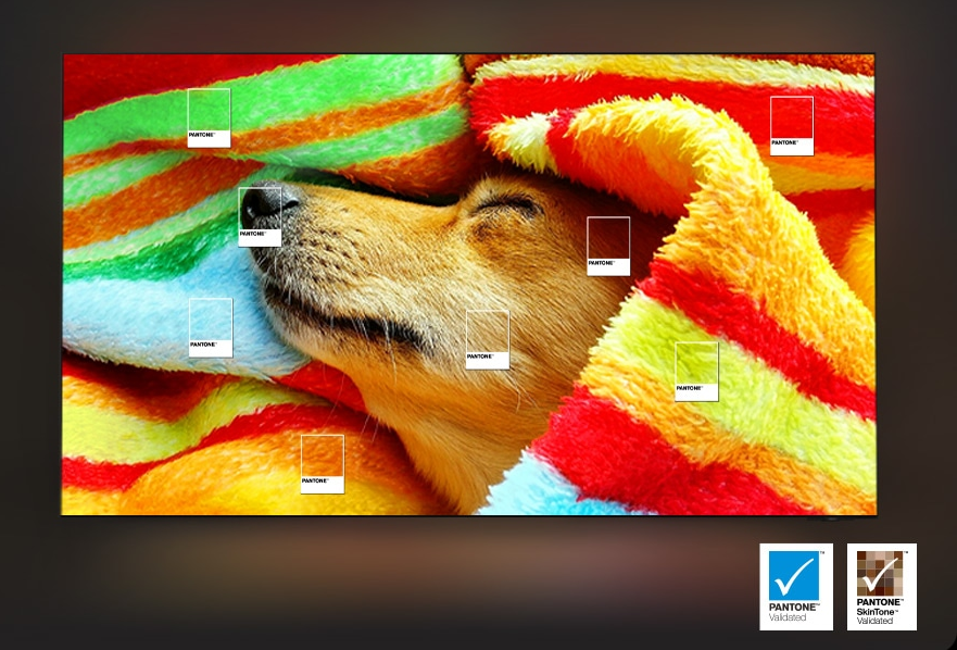 Samsung QE55Q7F5 QLED TV is Pantone verified for the most accurate colour reproduction