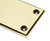 Aged Brass 300mm Art Deco Fingerplate 45389
