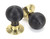 Ebony & Polished Brass Beehive Mortice/Rim Knob Set 91729