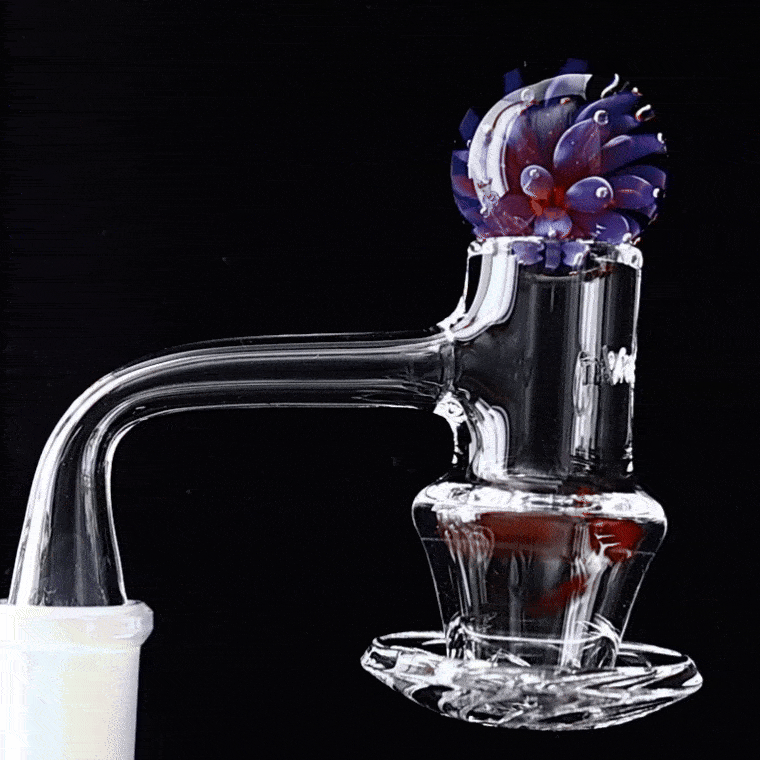 Slurper Marble with Four Terp Pearls: Air Trap Purple Fire