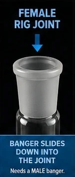 Female Dab Rig joint reference