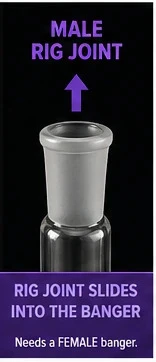 Male banger joint reference