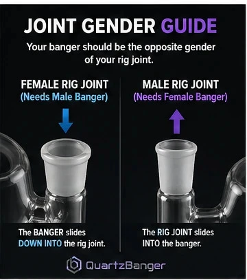 Banger joint gender guide