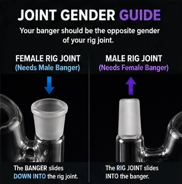 Banger joint gender guide