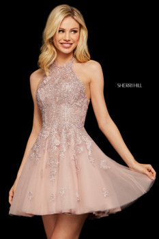 52453 sherri hill