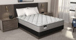 Sealy Essentials Evington Collection Mattress Deluxe Soft