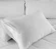 Zippered Pillow Protector Queen 20x30 50/50 Cotton Polyester 1 dozen