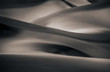 Alloyed Dune Hotel Wall Art