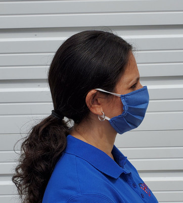 Disposable Protective Face Mask 3-Ply with Ear Loops, Pack of 25