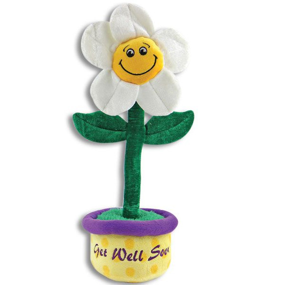 Get Well Soon Plush Daisy Flower