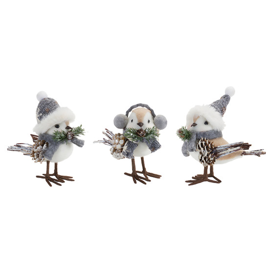Winter Bird With Hat