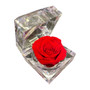 Natural Rose in Clear Acrylic Box - Assorted Colors