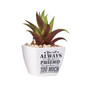 Sentiment Succulent - Always Be My Friend