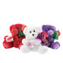 Teddy Bear with Chocolate Rose