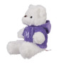 Northwestern Medicine Logoed Plush Bear with Hoodie - White