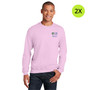 Wilmot Cancer Institute Heavy Blend Crewneck Sweatshirt - Light Pink - 2X