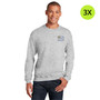 Golisano Children's Hospital Heavy Blend Crewneck Sweatshirt - Ash - 3X