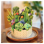 Fresh Cut Paper Flower Bouquet - Cactus Garden
