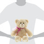 13-Inch Tan Teddy Bear