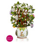 FreshCut Paper Pop-Up Easter Egg Tree