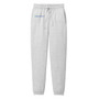 Brigham & Women's Hospital Fleece Sweatpants - Ash Gray - L