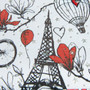 White Train Case - Paris Design