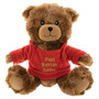 Feel Better Soon Plush Animal in Hoodie
