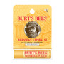 Burt's Bees Beeswax Lip Balm