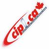 ACC-C10-CIPS-CA - PAIR OF Cip1 LOGO OVAL DECALS - 8 INCH x 1.75 INCH (200mm x 45mm) - SOLD PAIR