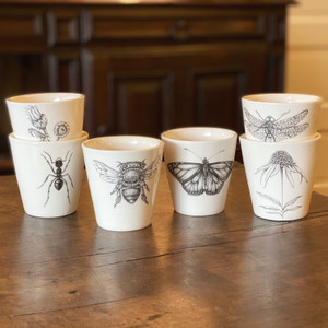 Laura Zindel - Bistro Cup Laura Zindel - Bistro Cup