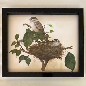 Sparrows - Painting by Rafael Soares Sparrows - Painting by Rafael Soares