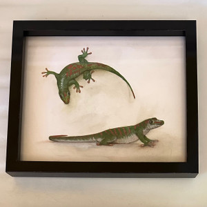 Geckos - Painting by Rafael Soares Geckos - Painting by Rafael Soares