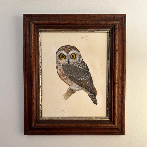 Owl - Painting by Rafael Soares