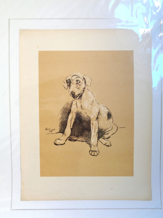 Cecil Aldin "Dog Sitting" print c. 1904