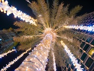 Holiday Lighting Ideas That Make Any Party Feel Magical