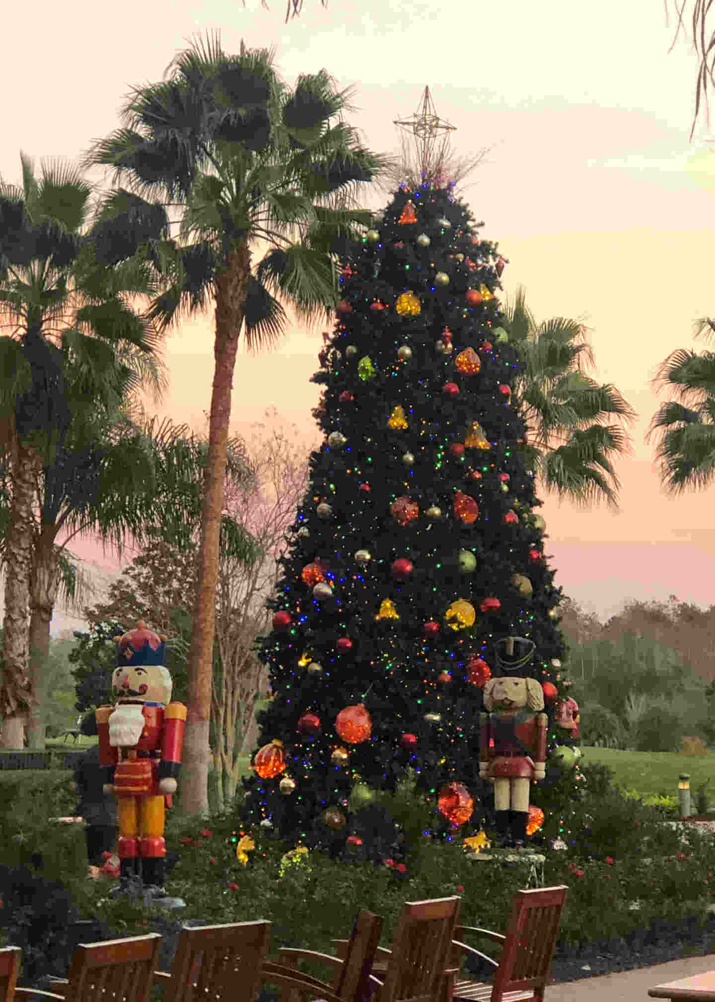 decorated Christmas tree besides 2 large nut crackers in a grassy field with tall palm trees