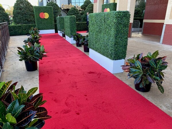 a red carpet laying in between potted plants and boxwood hedges