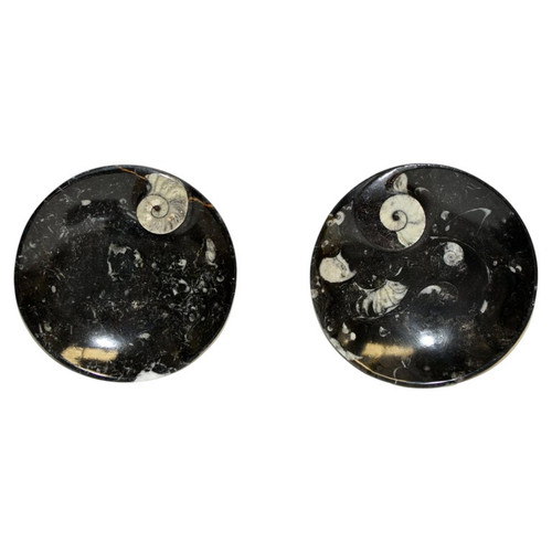 Pair Large Ammonite Plates Black White 6.25"