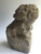 foo dog 1, stone, antique