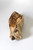 petrified wood specimen