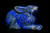 Lapis Lazuli Rabbit
