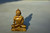 Tiger's Eye Buddha Statue