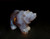 Agate Bear 1